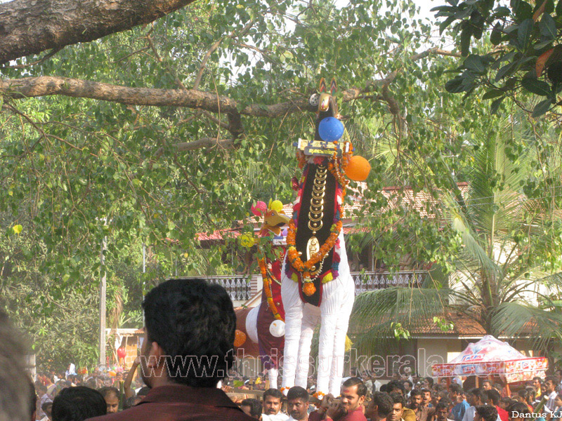 mangad-pooram-2011 (18)